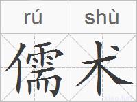 儒术的拼音